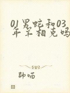 01男蛇和03年羊相克吗