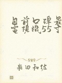 目前口碑最好的电视机55寸