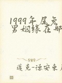 1999年属兔男姻缘在哪年