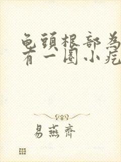 龟头根部为什么有一圈小疙瘩