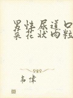 男性尿道口长出菜花状肉粒