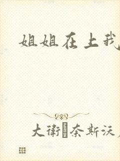 姐姐在上我在下