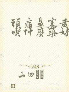 头痛鼻塞黄鼻涕吃什么药好呢