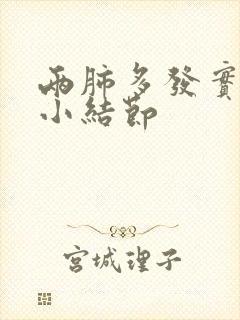 两肺多发实性微小结节