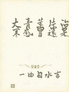 大青叶片治疗风寒感冒还是风热感冒