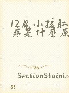 12岁小孩肚子疼是什么原因引起的封面