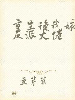 重生后我嫁给了反派大佬