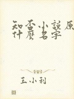 知否小说原著叫什么名字