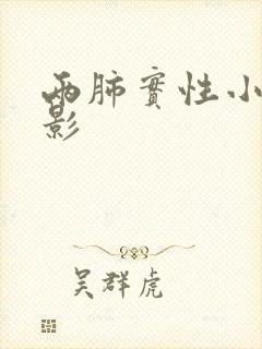 两肺实性小结节影