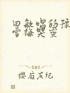 田敏唱的豫剧秦雪梅哭灵封面