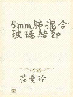 5mm肺混合磨玻璃结节