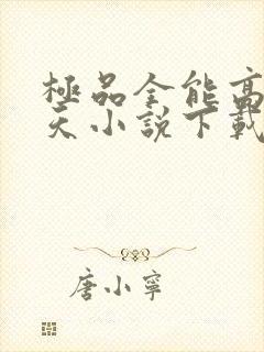 极品全能高手夏天小说下载封面