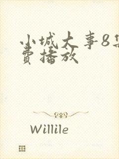 小城大事8集免费播放
