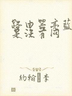 路由器亮蓝灯但是没有网