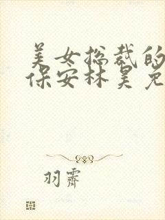 美女总裁的贴身保安林昊免费