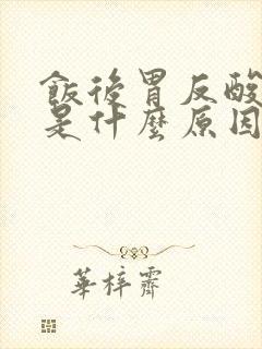 饭后胃反酸打嗝是什么原因封面