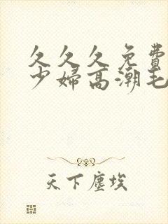 久久久免费精品少妇高潮毛片封面