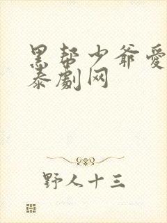 黑帮少爷爱上我泰剧网