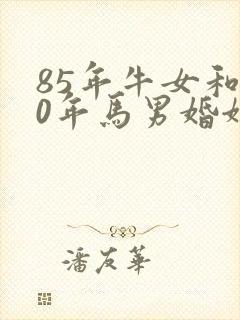 85年牛女和90年马男婚姻如何