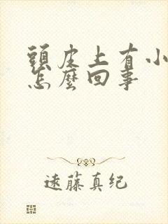 头皮上有小疙瘩怎么回事封面