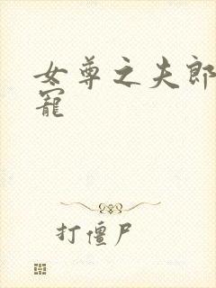 女尊之夫郎不好宠封面