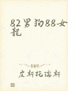 82男狗88女龙