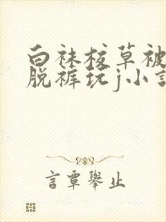 白袜校草被混混脱裤玩j小说