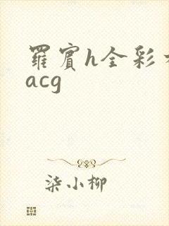 罗宾h全彩本子acg