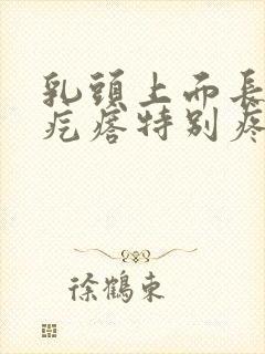 乳头上面长了个疙瘩特别疼怎么回事