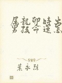 属龙卯时出生的男孩命运怎么样封面