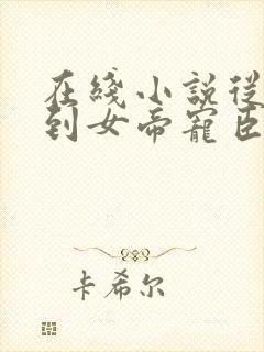 在线小说从赘婿到女帝宠臣