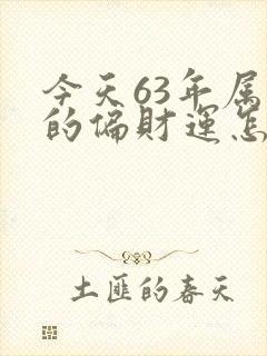 今天63年属兔的偏财运怎么样封面