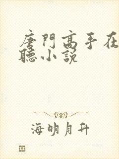 唐门高手在异世听小说封面