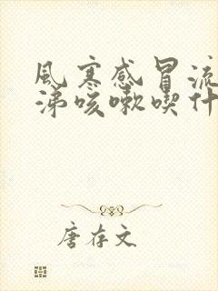 风寒感冒流清鼻涕咳嗽吃什么药