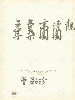 免费高清观看大耳朵图图