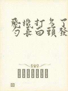 飞机打多了后脑勺长白头发