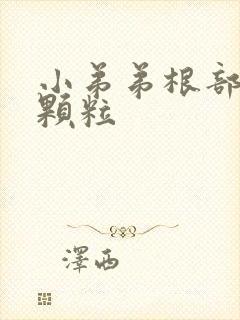 小弟弟根部白色颗粒封面