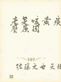 老是咳黄痰是什么原因