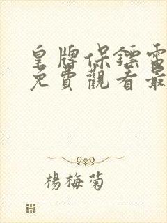 皇牌保镖电视剧免费观看最新章节封面