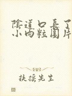 阴道口长了一个小肉粒图片