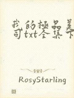 我的极品美女上司txt全集下载