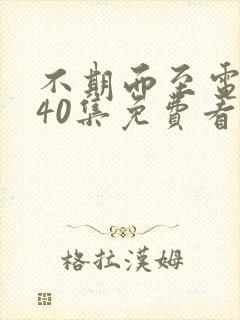 不期而至电视剧40集免费看11