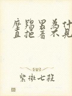 摩羯男为什么一直拖着不见面封面