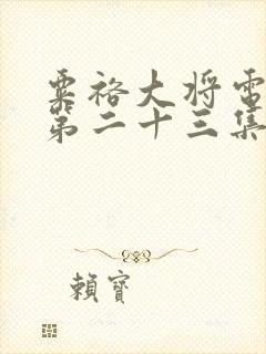 粟裕大将电视剧第二十三集