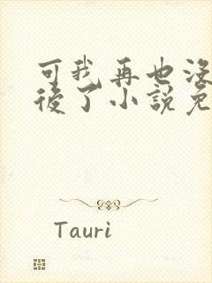 可我再也没有以后了小说免费阅读封面