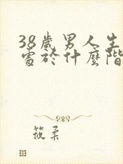 38岁男人生理处于什么阶段