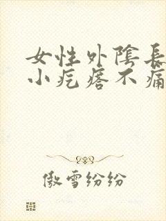 女性外阴长了个小疙瘩不痛不痒