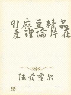 91麻豆精品国产理伦片在线观看封面