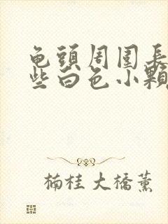 龟头周围长了一些白色小颗粒封面