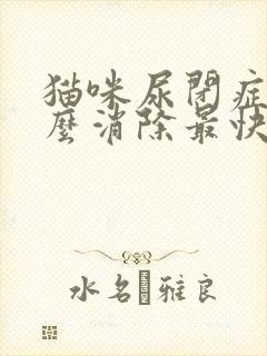 猫咪尿闭症状怎么消除最快封面